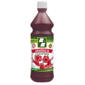 Concentrado de Jamaica Botella 678ml