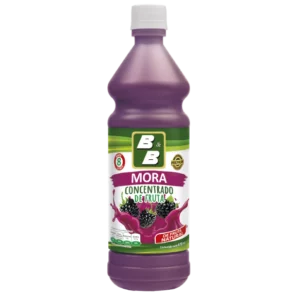 Concentrado de Mora Botella 678ml